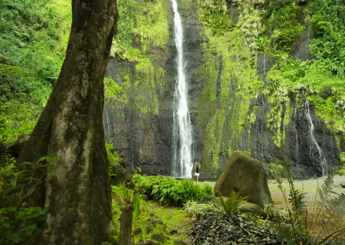 Live like Polynesians - Tahiti - Photo of the day
