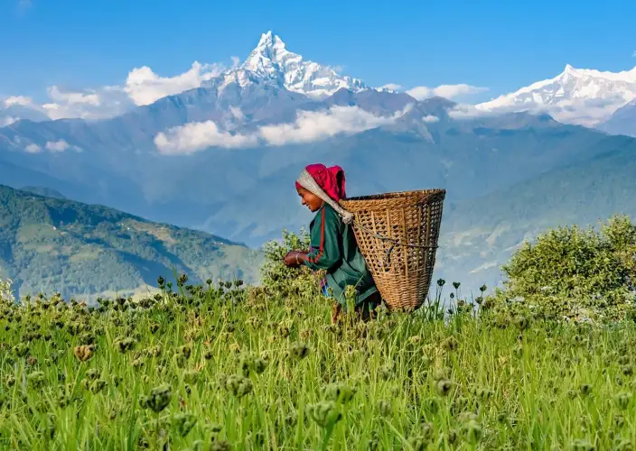 Best of Nepal and Bhutan Tour - Hike in the Annapurna Foothills - Photo of the day