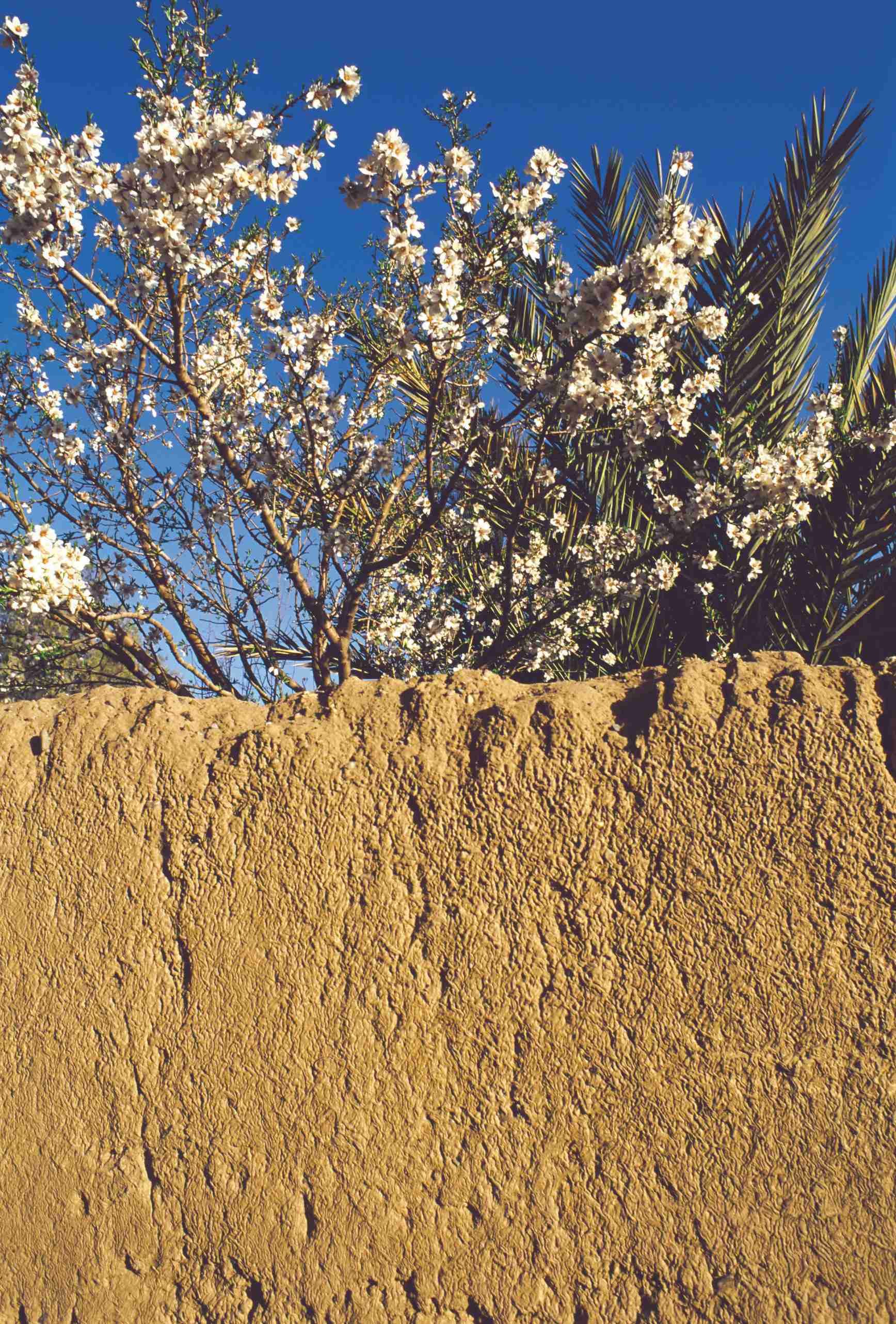 Road trip en toute liberté - Skoura - Tineghir - Skoura - Tineghir