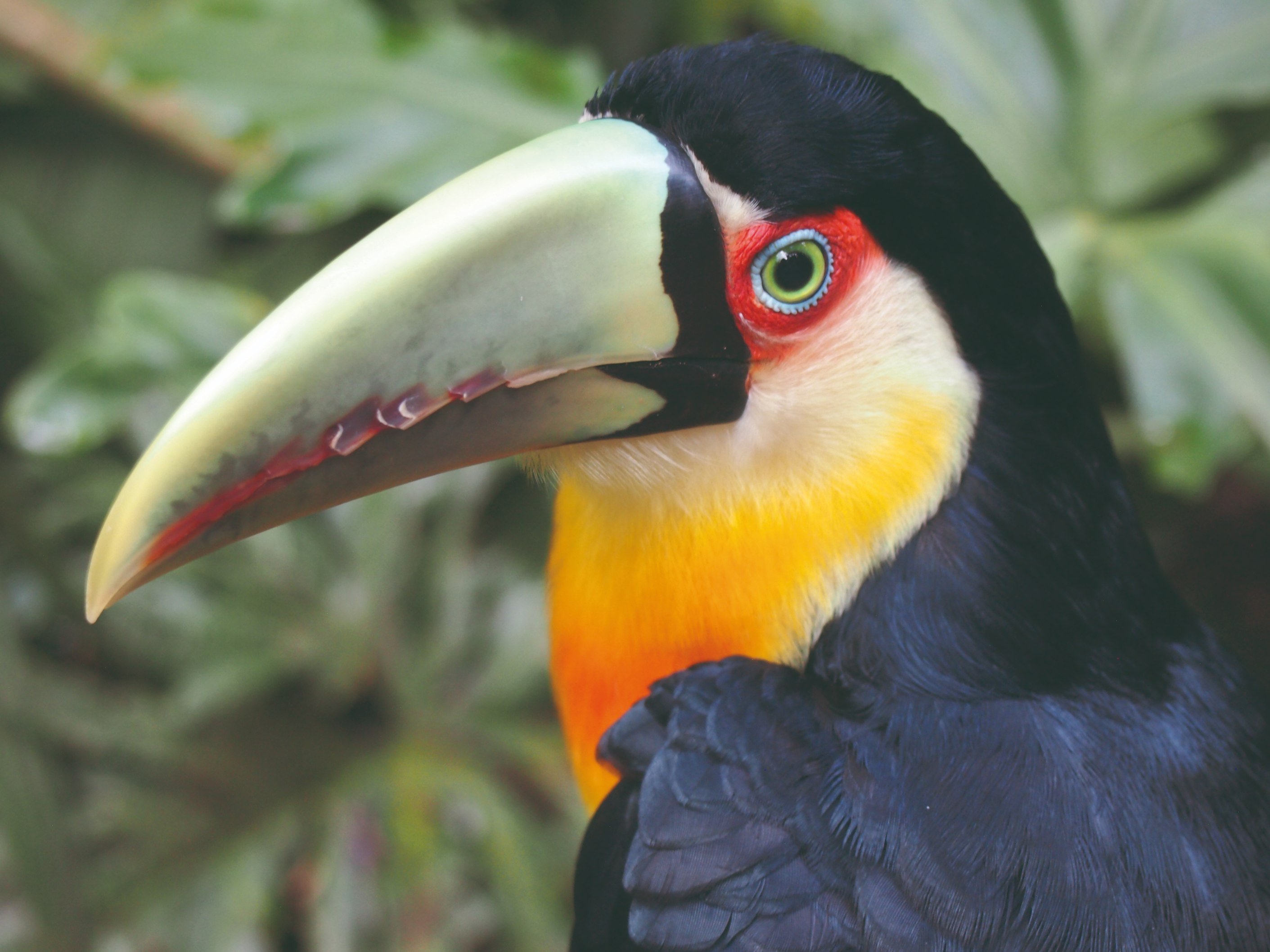 Rencontres et saveurs dans le nord de l'Argentine - Réserve Yasí Yateré - Oberá - Mission Santa Ana - Réserve Yasí Yateré - Oberá - Mission Santa Ana