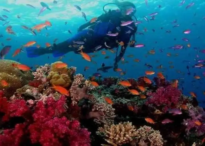 🌟 Discover Egypt: Cairo, Aswan, Luxor & Hurghada - Leisure in Hurghada - Photo of the day