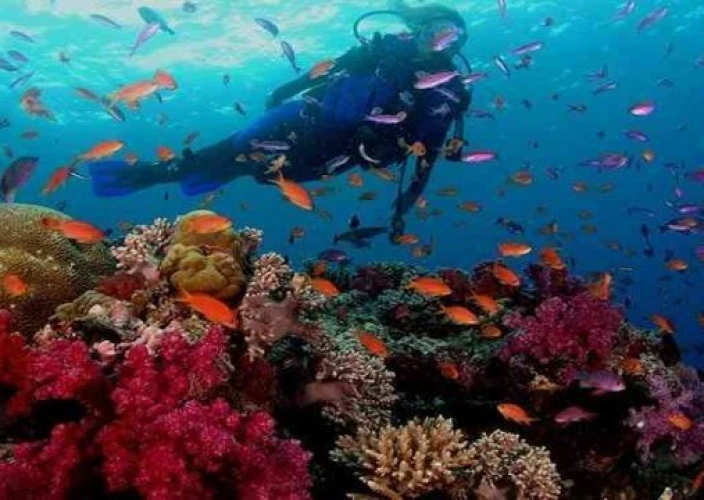 🌟 Discover Egypt: Cairo, Aswan, Luxor & Hurghada - Leisure in Hurghada - Photo of the day