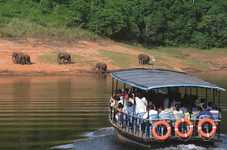 Voyage en famille : nature, éléphants et sentiers - Kochi - Periyar - Kochi - Periyar