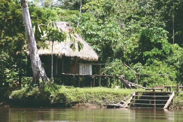 Equatorial honeymoon