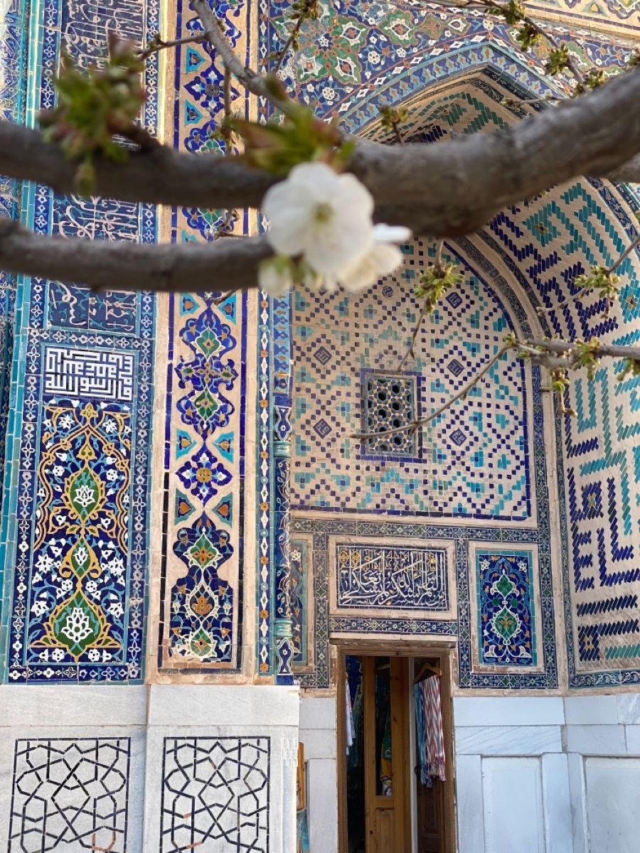 Treasures of Uzbekistan’s Silk Road: 7-day cultural trip - Samarkand - Photo of the day