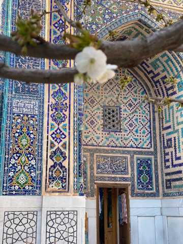 Treasures of Uzbekistan’s Silk Road: 7-day cultural trip