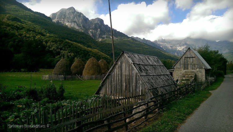 Perla dei Balcani - Vacanze attive in Montenegro - Canyon e montagne del nord - Foto del giorno