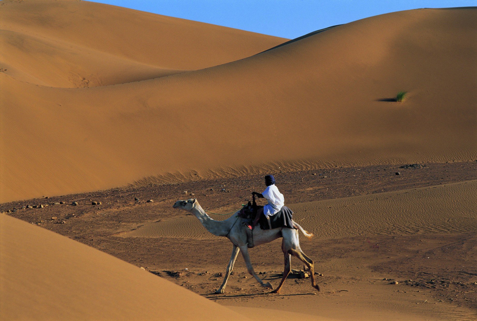 Senderismo en el desierto marroquí: 8 días, 7 noches, salida desde Marrakech. - ERG SMÂR - OUED MEZOUARIA (5h de marcha) - ERG SMÂR - OUED MEZOUARIA (5h de mars)
