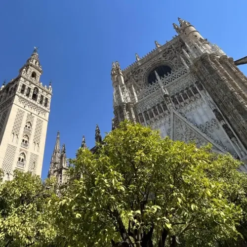 Les essentiels de l'Andalousie - Retour - Retour