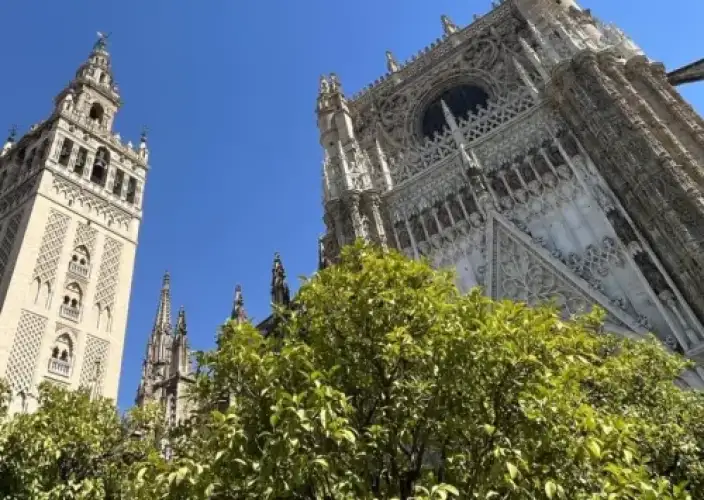 Les essentiels de l'Andalousie - Retour - Retour