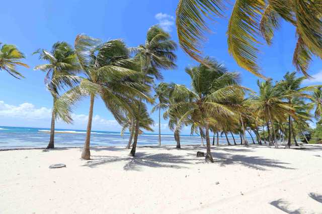 Guadeloupe: Ontdekking van de Vlinder in 11 d