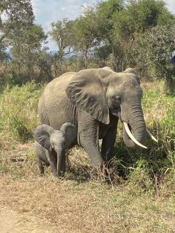 Safari de 14 jours en Tanzanie, culture et escapade à Zanzibar