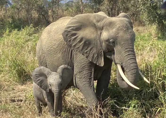 14-daagse Tanzania Safari, Cultuur & Zanzibar Ontsnapping - Ngorongoro Krater - Foto van de dag