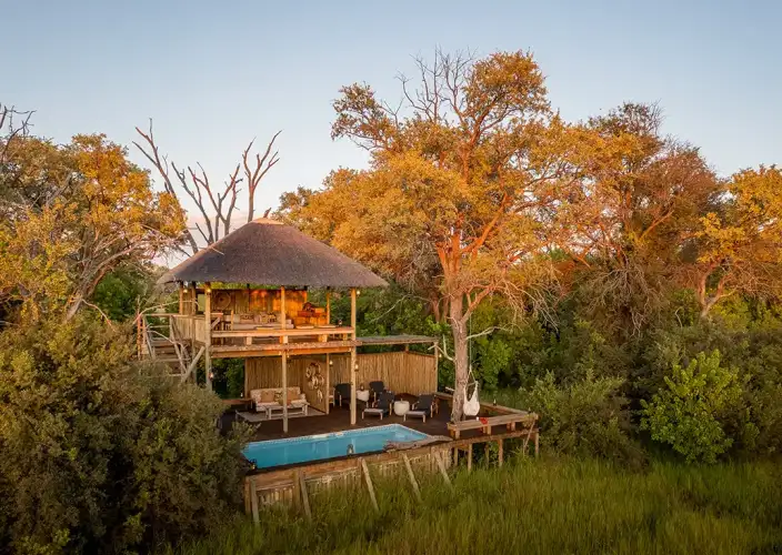 Khwai on Foot - Underground Hide & Helicopter Flight to Little Sable - Photo of the day