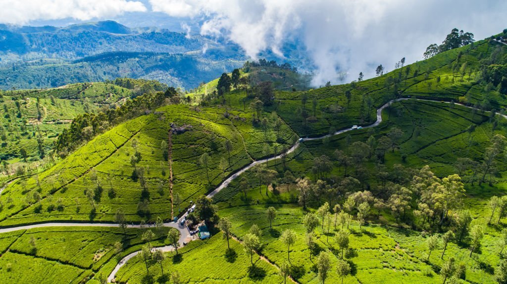 15-Day Private Kosher Sri Lanka Family Tour: Nature, Safari - Lipton’s Seat and Horton Plains - Photo of the day