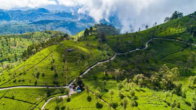 15-Day Private Kosher Sri Lanka Family Tour: Nature, Safari