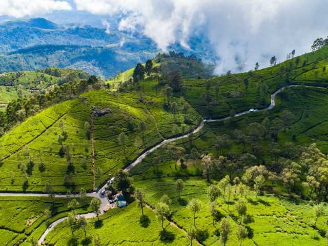 Tour Familiar Privado Kosher de 15 Dias no Sri Lanka: Natureza, Safari
