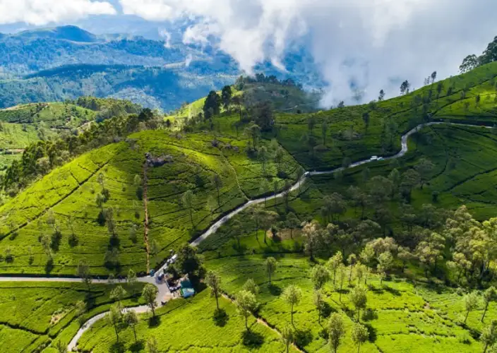 Tour Familiar Privado Kosher de 15 Dias no Sri Lanka: Natureza, Safari - Assento de Lipton e Horton Plains - Foto van de dag