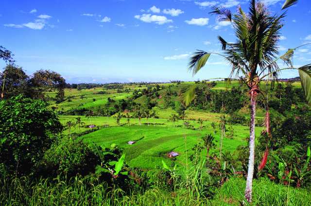 Découverte authentique de Bali en mode slow travel