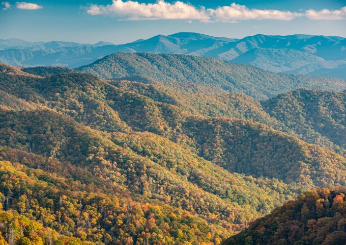 Roadtrip dans les Carolines : montagnes, plages et villes de charme - Première étape dans les montagnes - Photo du jour