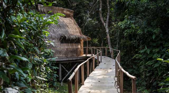 Exclusief verblijf in het hart van het nationaal park Odzala-Kokoua, juweel van Centraal-Afrika