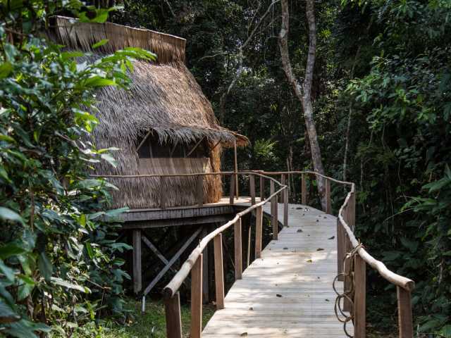 Séjour exclusif au cœur du parc national d’Odzala-Kokoua, joyau d’Afrique centrale