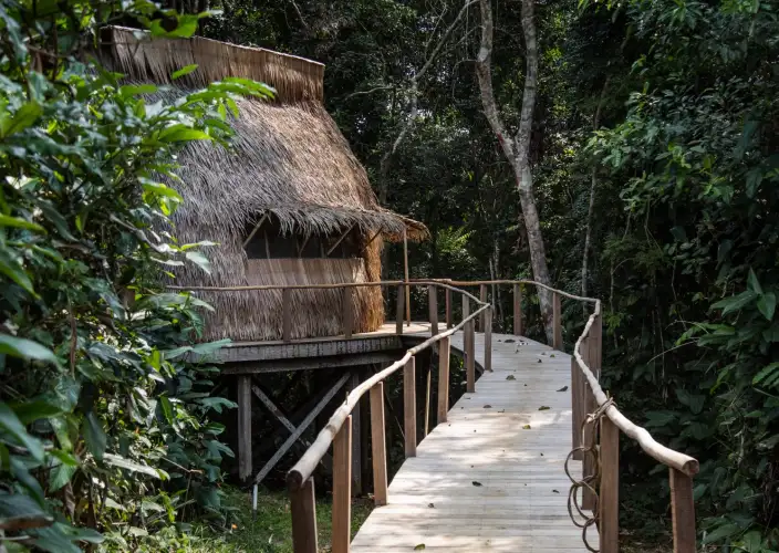 Exclusief verblijf in het hart van het nationaal park Odzala-Kokoua, juweel van Centraal-Afrika - Brazzaville - Mboko - Ngaga Lodge (Kamba) - Foto van de dag
