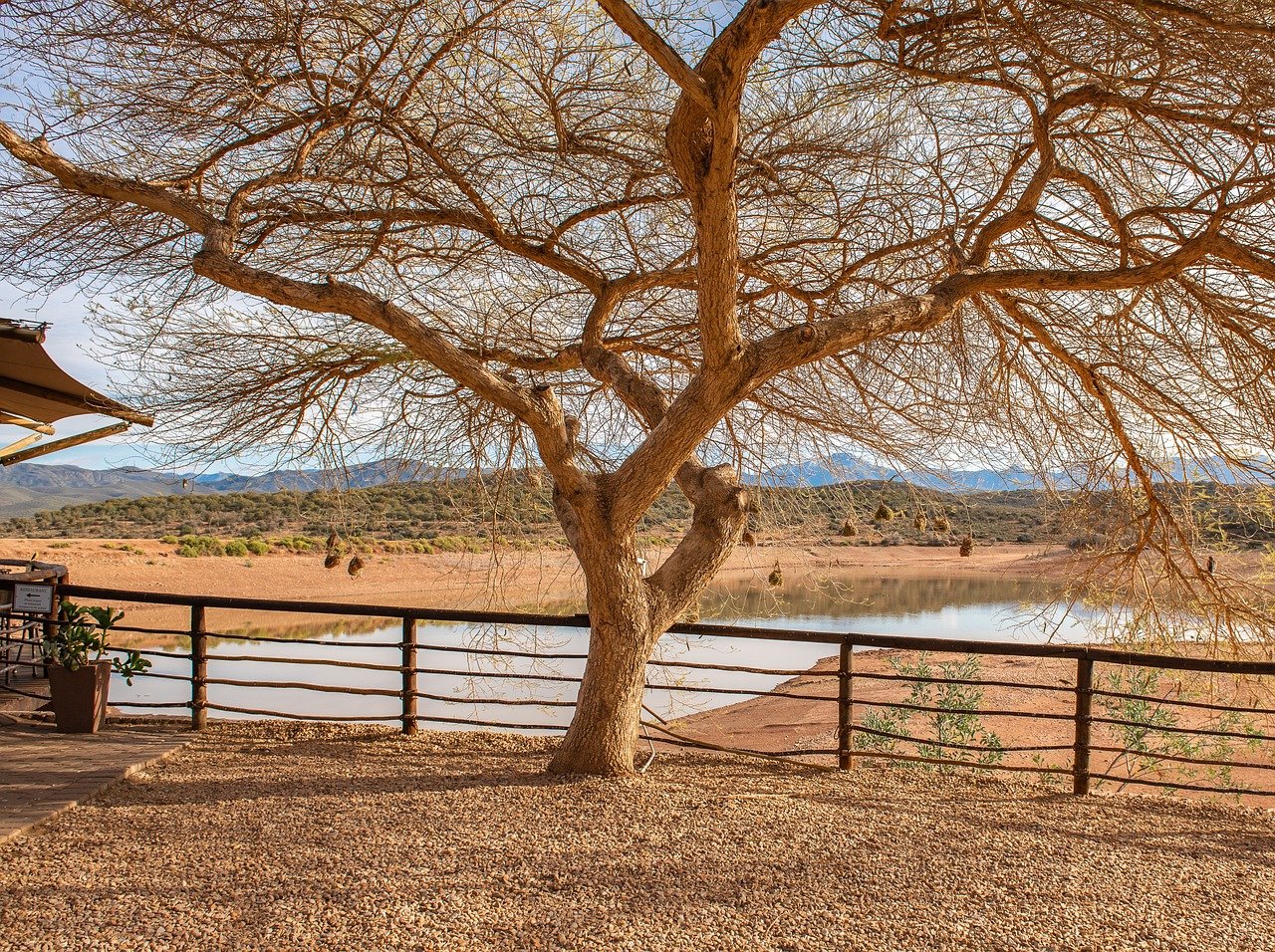 UNA HAZAÑA TANZANA - Parque nacional del Serengeti - Parc national du Serengeti