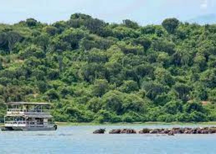 21-daagse Grote Oost-Afrika Expeditie - Game Drive & Kazinga Channel Boottocht - Foto van de dag