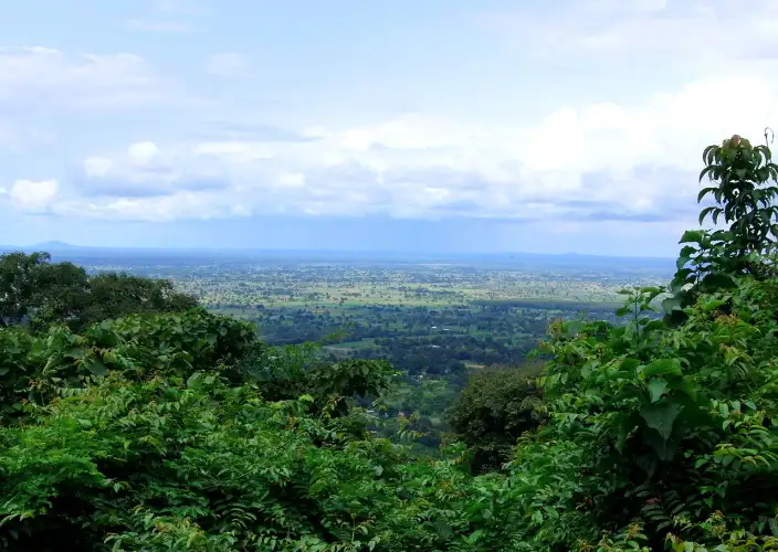Explore the diverse landscapes and wildlife of Tanzania's hidden gems - Transfer to Udzungwa Mountains National Park - Photo of the day