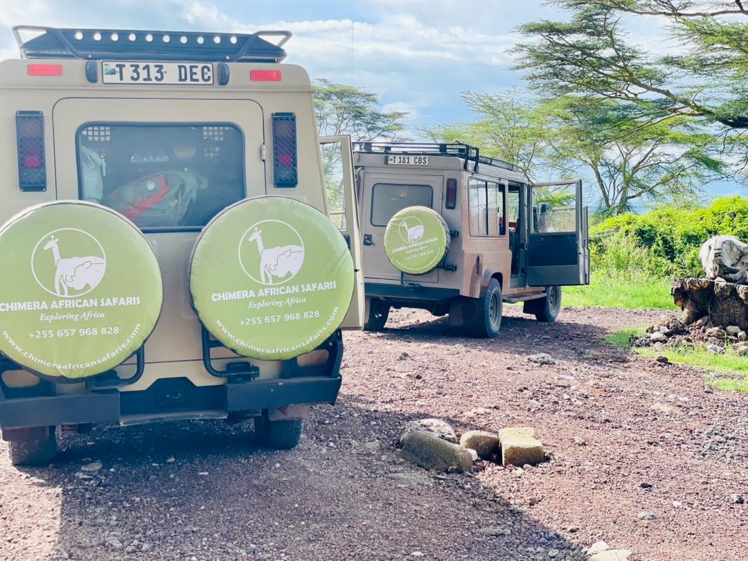 Safari de 5 días por el Circuito Norte en Tanzania - Serengeti – Cráter del Ngorongoro – Lago Manyara - Foto del día