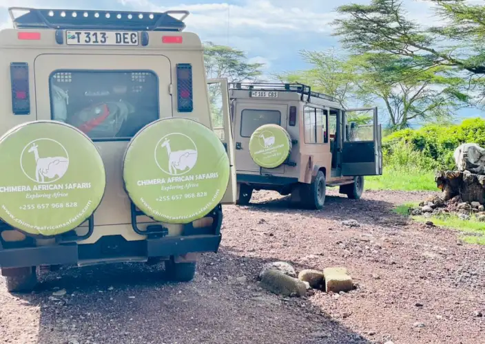 Safari de 5 días por el Circuito Norte en Tanzania - Serengeti – Cráter del Ngorongoro – Lago Manyara - Foto del día