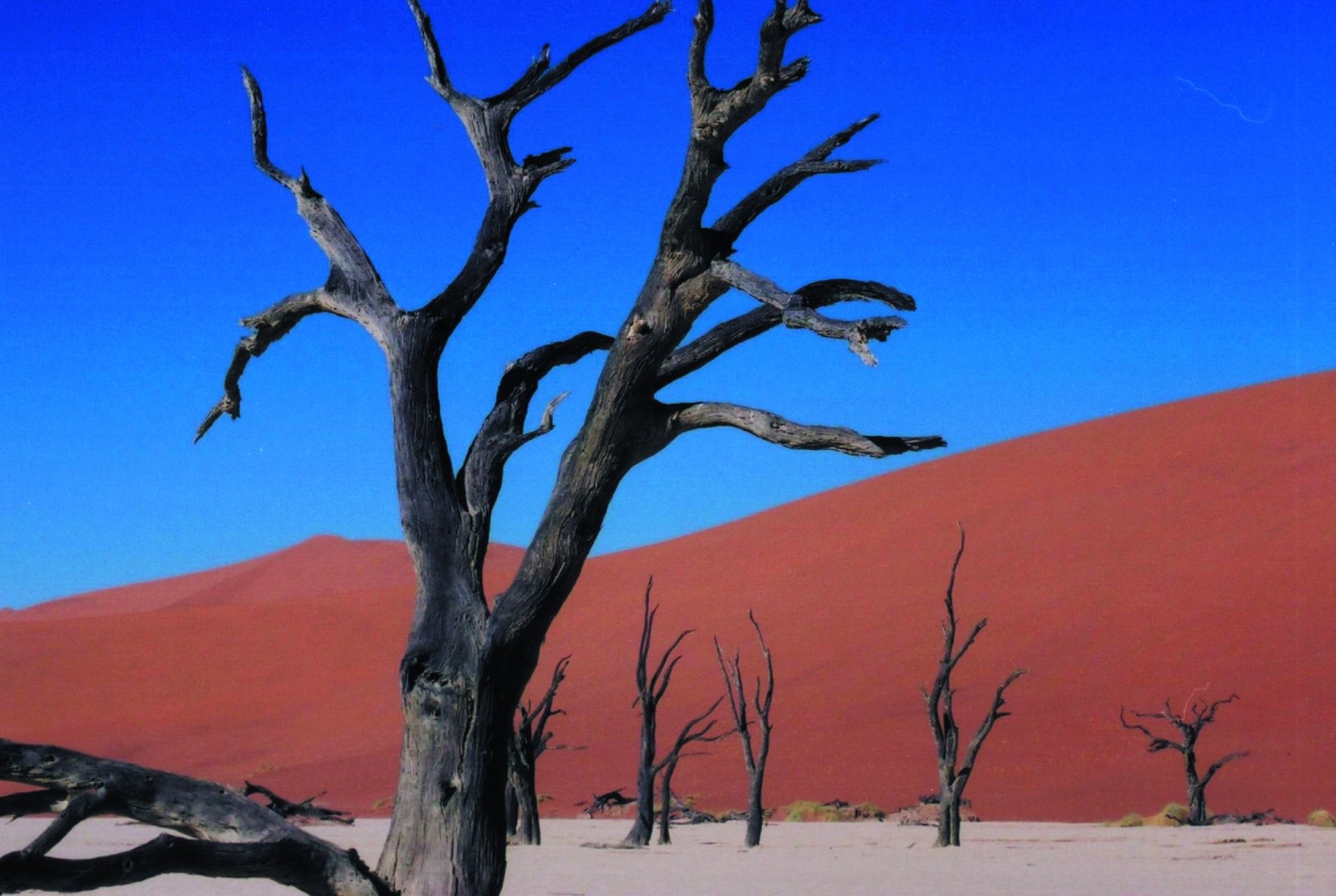 Das authentische Namibia - Solitaire - Solitaire