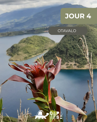 The Great Crossing of the Equator - in a small French-speaking group