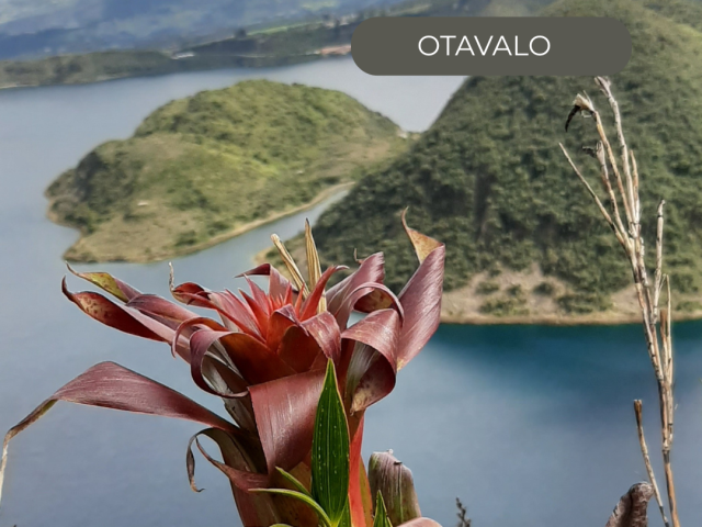 La Grande Traversée de l'Équateur - en petit groupe francophone