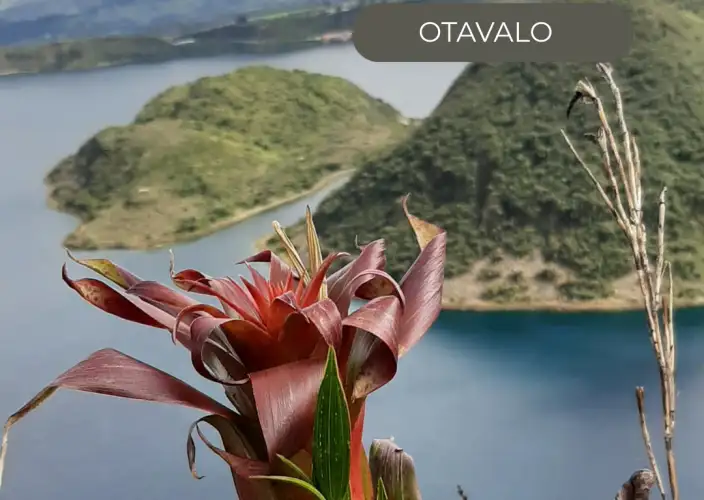 The Great Crossing of the Equator - in a small French-speaking group - SATURDAY - The artisans of Otavalo - Photo of the day