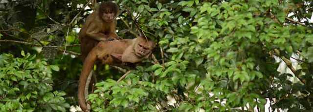 Journey to the Middle of the World - 16D