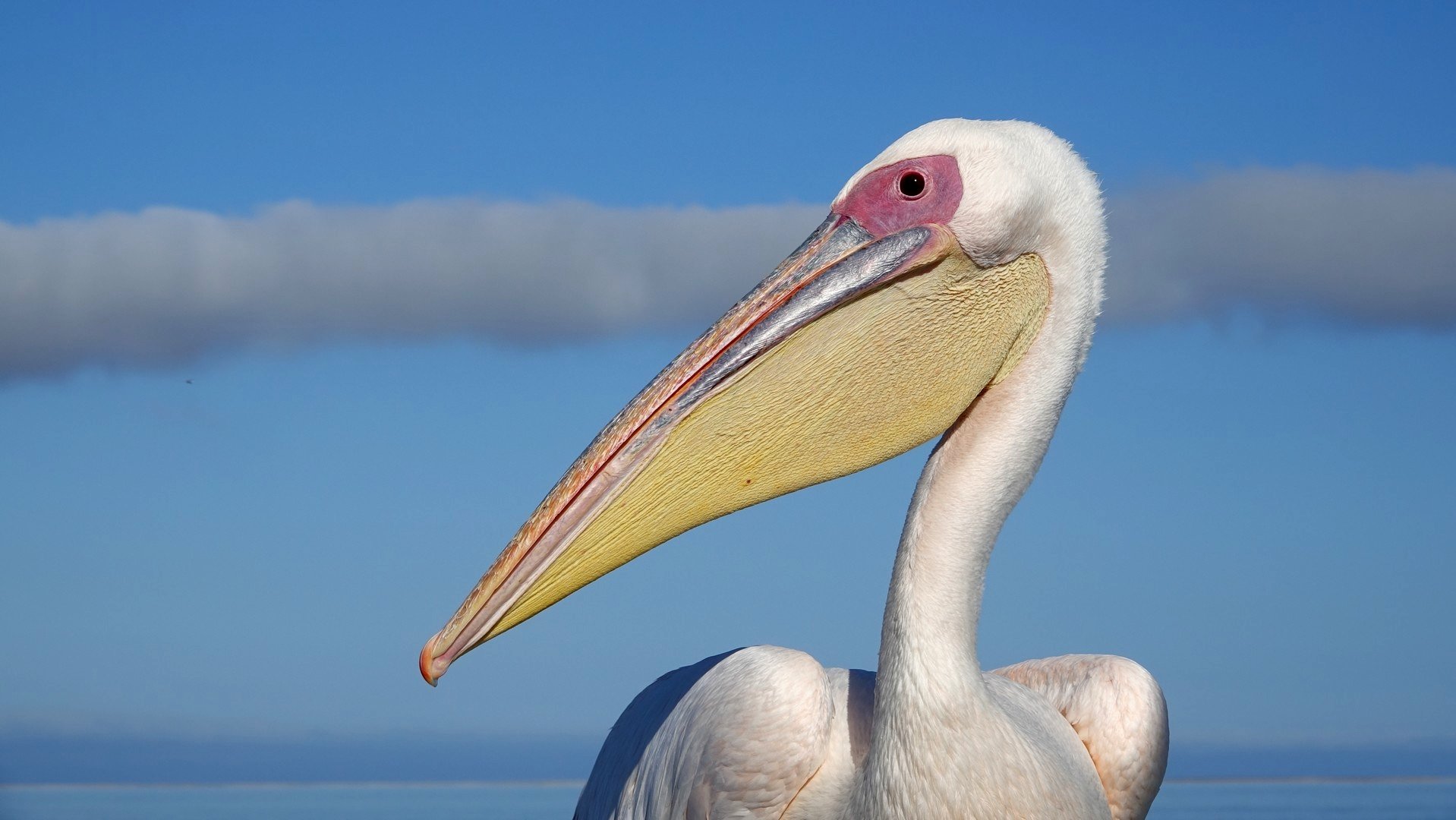 Die Flüsse Namibias - Die Dünen, die in den Ozean eintauchen - Tagesfoto