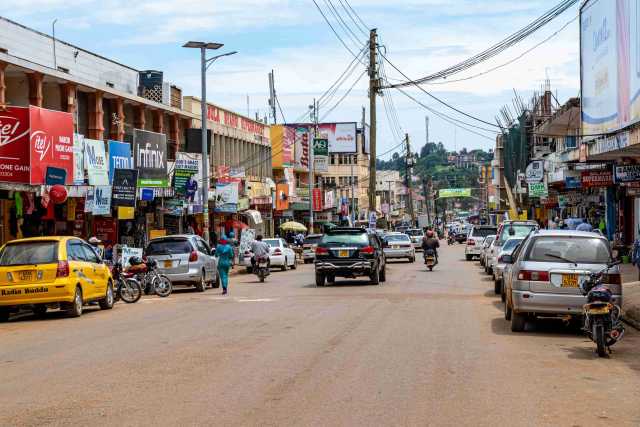 10 days of Ugandan safari for wildlife and gorillas.