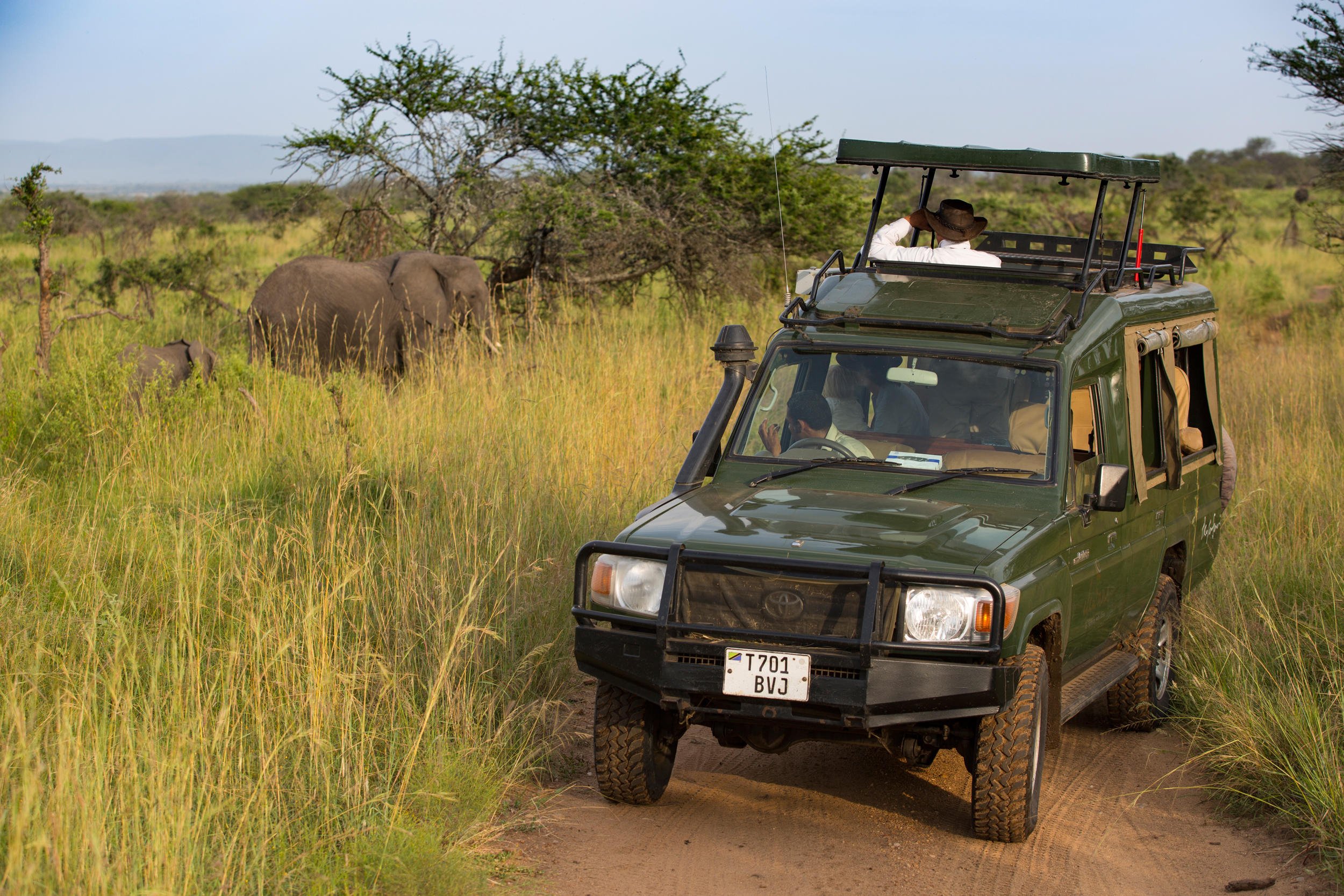 Simba Safari: Discover the Wild Side of Tanzania - Full-Day Game Drives in Serengeti National Park - Elewana Serengeti Migration Camp