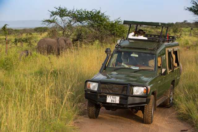 Simba Safari: Discover the Wild Side of Tanzania