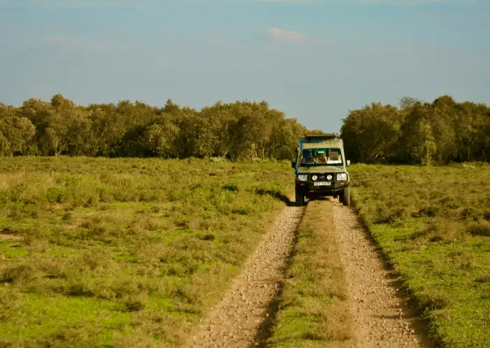Khwai on Foot - Final Walk & Transfer from Khwai - Photo of the day