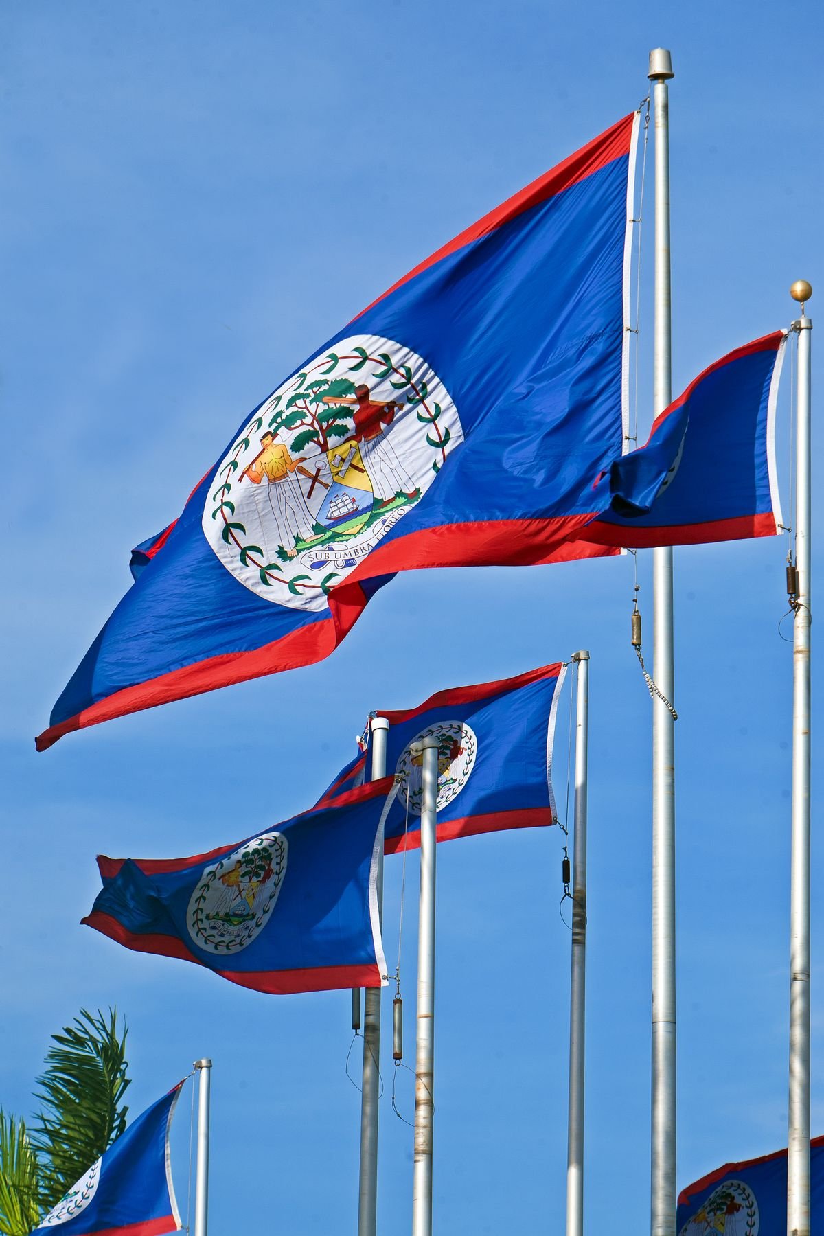 Entdecken Sie Belize: Tropische Strände & Wilde Natur - Auf Wiedersehen Belize! - Tagesfoto