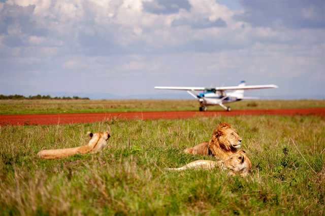 Luxuriöse Flugsafari durch Kenia