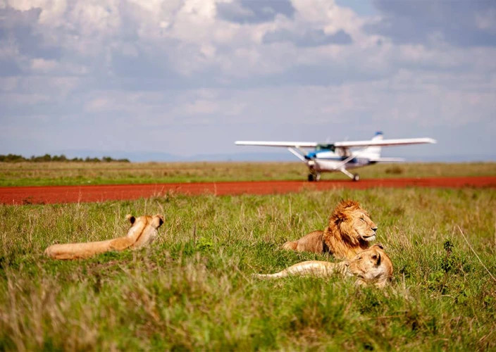 Luxury Flying Safari Across Kenya - Fly to Maasai Mara – Enter the Iconic Savannah - Photo of the day