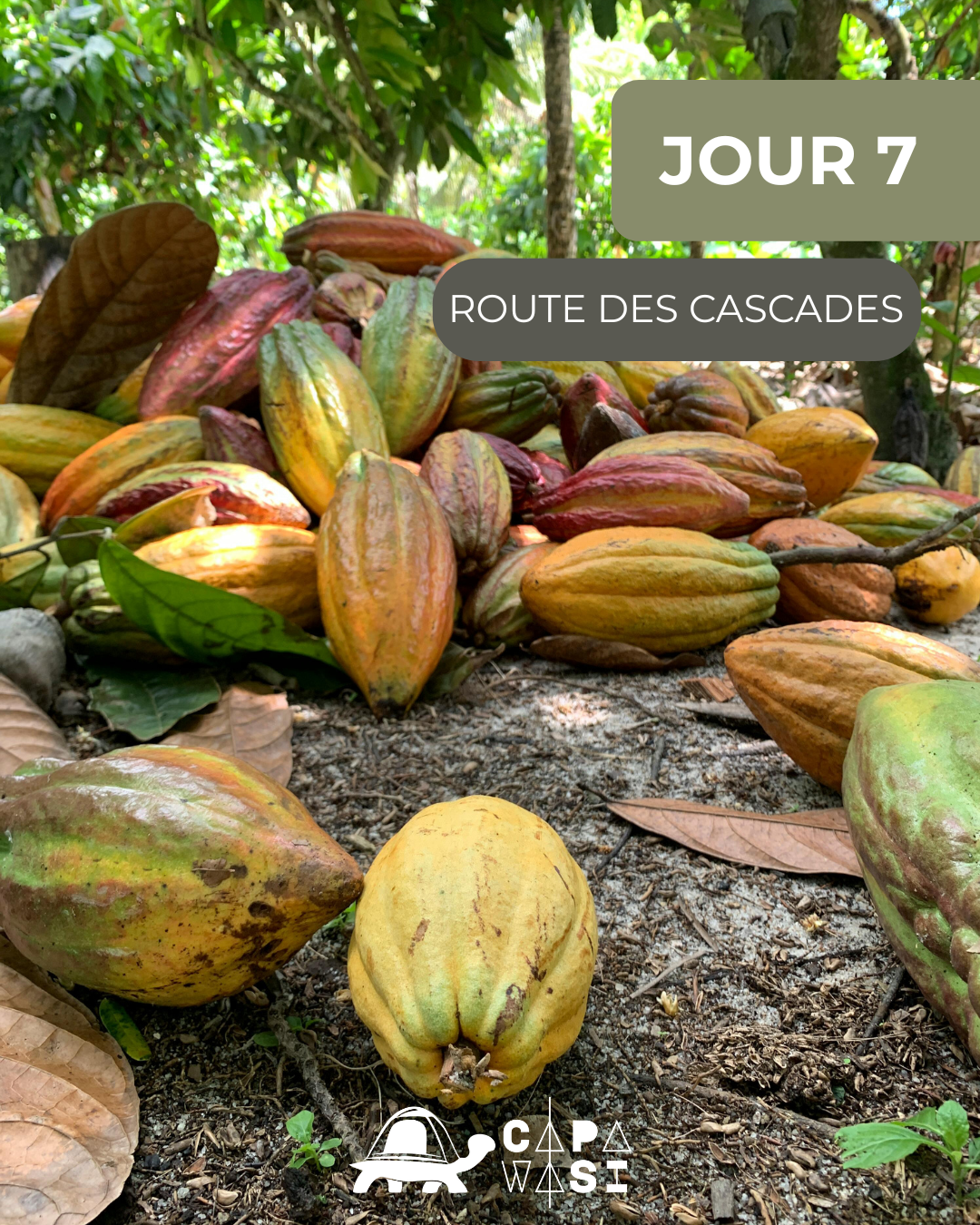 The Great Crossing of the Equator - in a small French-speaking group - TUESDAY - The waterfall route - Photo of the day