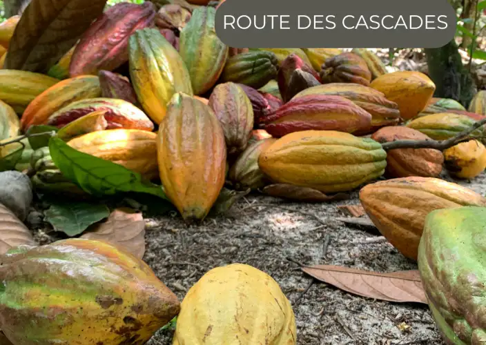 The Great Crossing of the Equator - in a small French-speaking group - TUESDAY - The waterfall route - Photo of the day