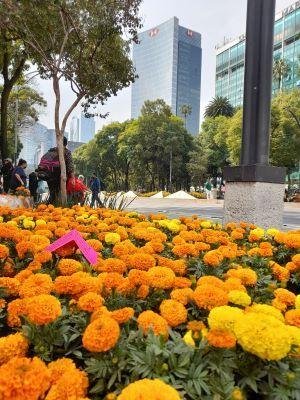 Trésors du Mexique : de l’effervescente Mexico aux merveilles de Puebla - Arrivée à Mexico - Arrivee a Mexico