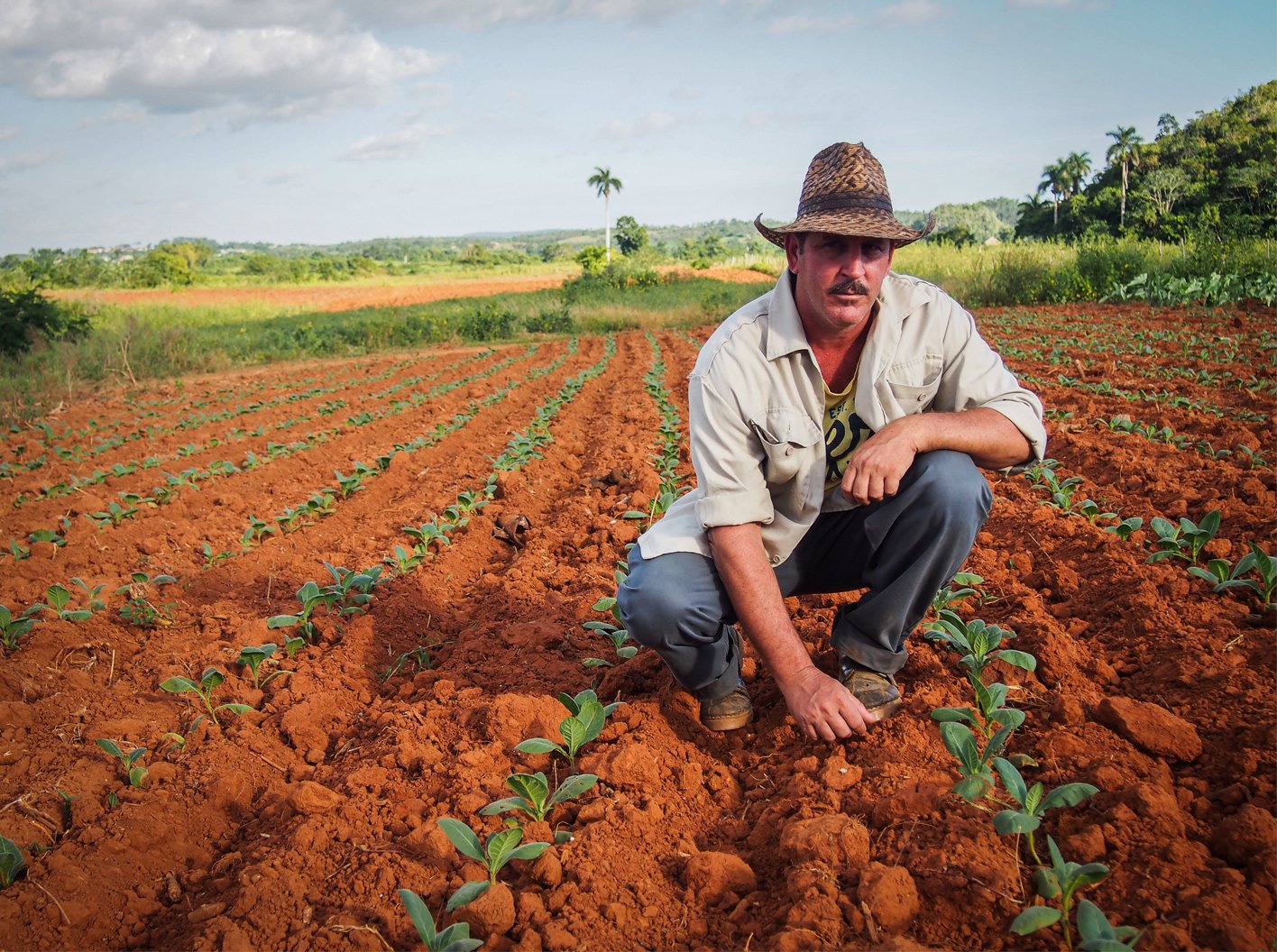 Ultimate Cuban Life Experience – 9 Days - Vinales via Las Terrazas - Photo of the day