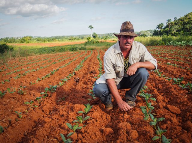 Ultimate Cuban Life Experience – 9 Days